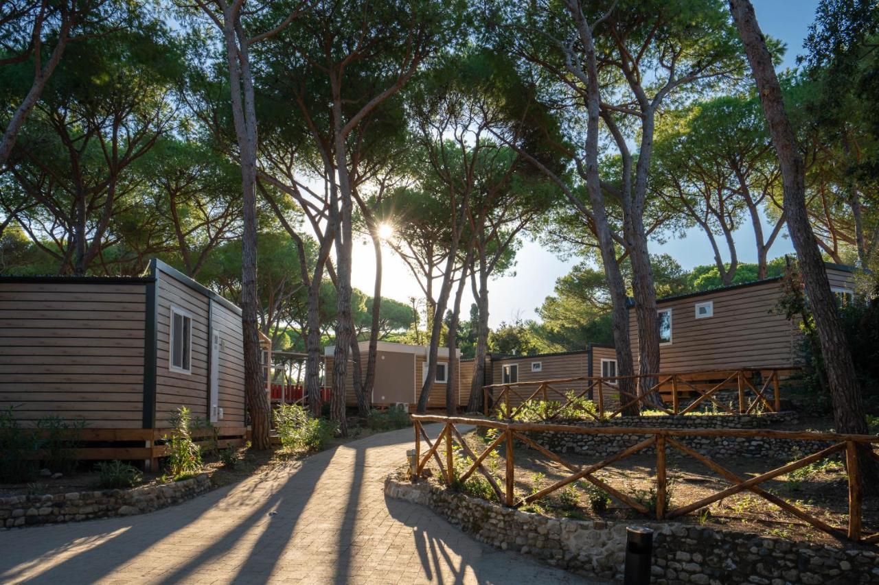 Camping Il Capannino Glamping Village マリーナ・ディ・ビッボーナ エクステリア 写真