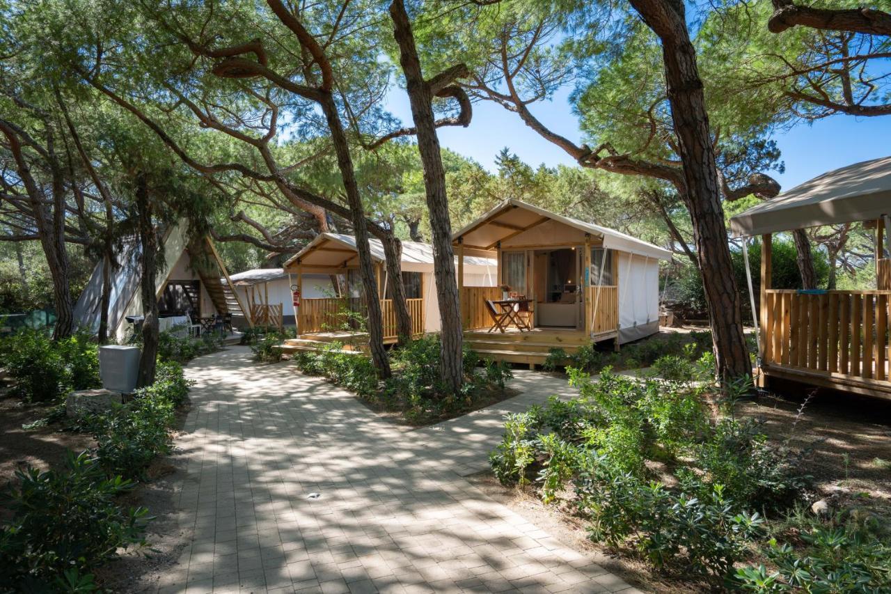 Camping Il Capannino Glamping Village マリーナ・ディ・ビッボーナ エクステリア 写真
