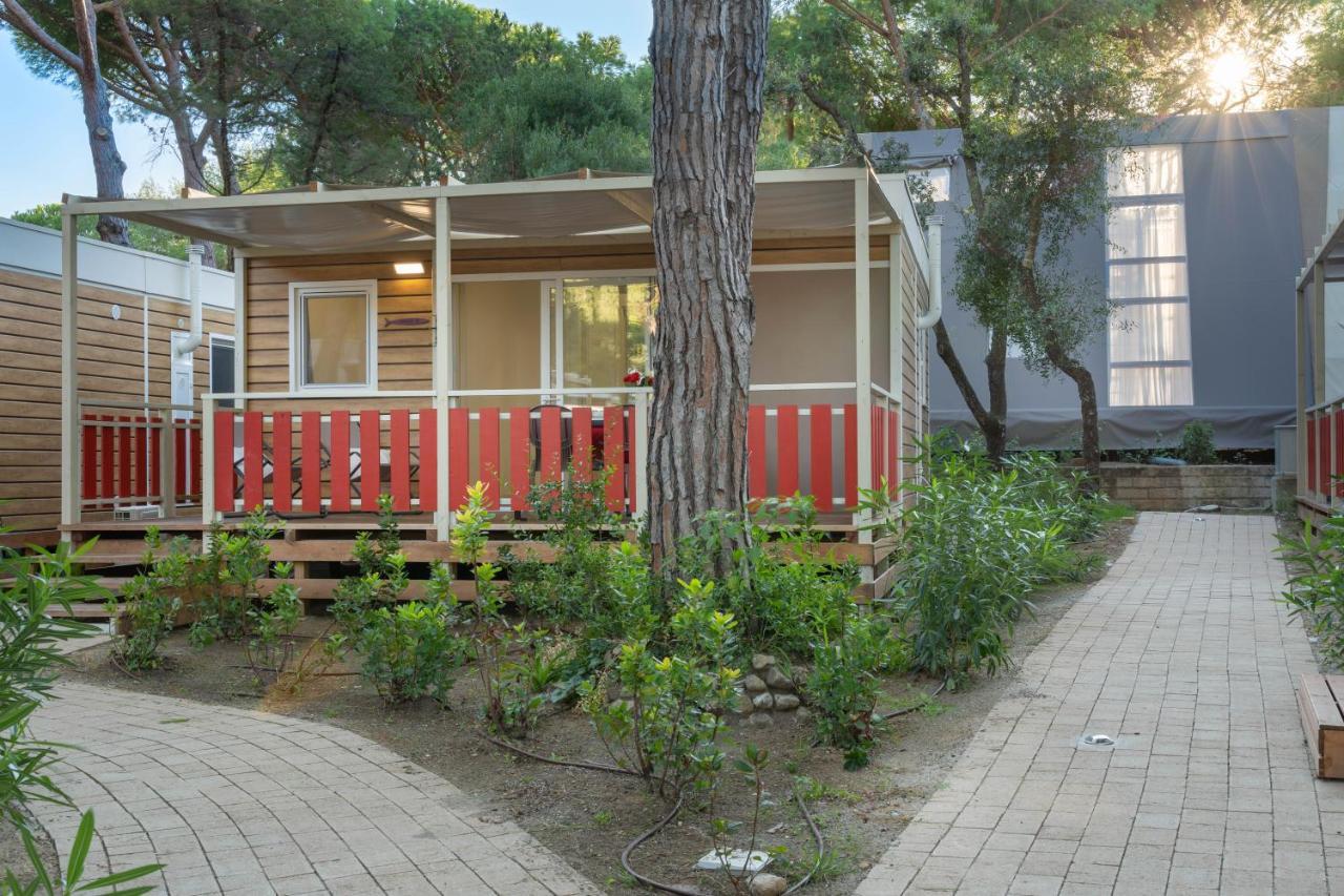 Camping Il Capannino Glamping Village マリーナ・ディ・ビッボーナ エクステリア 写真