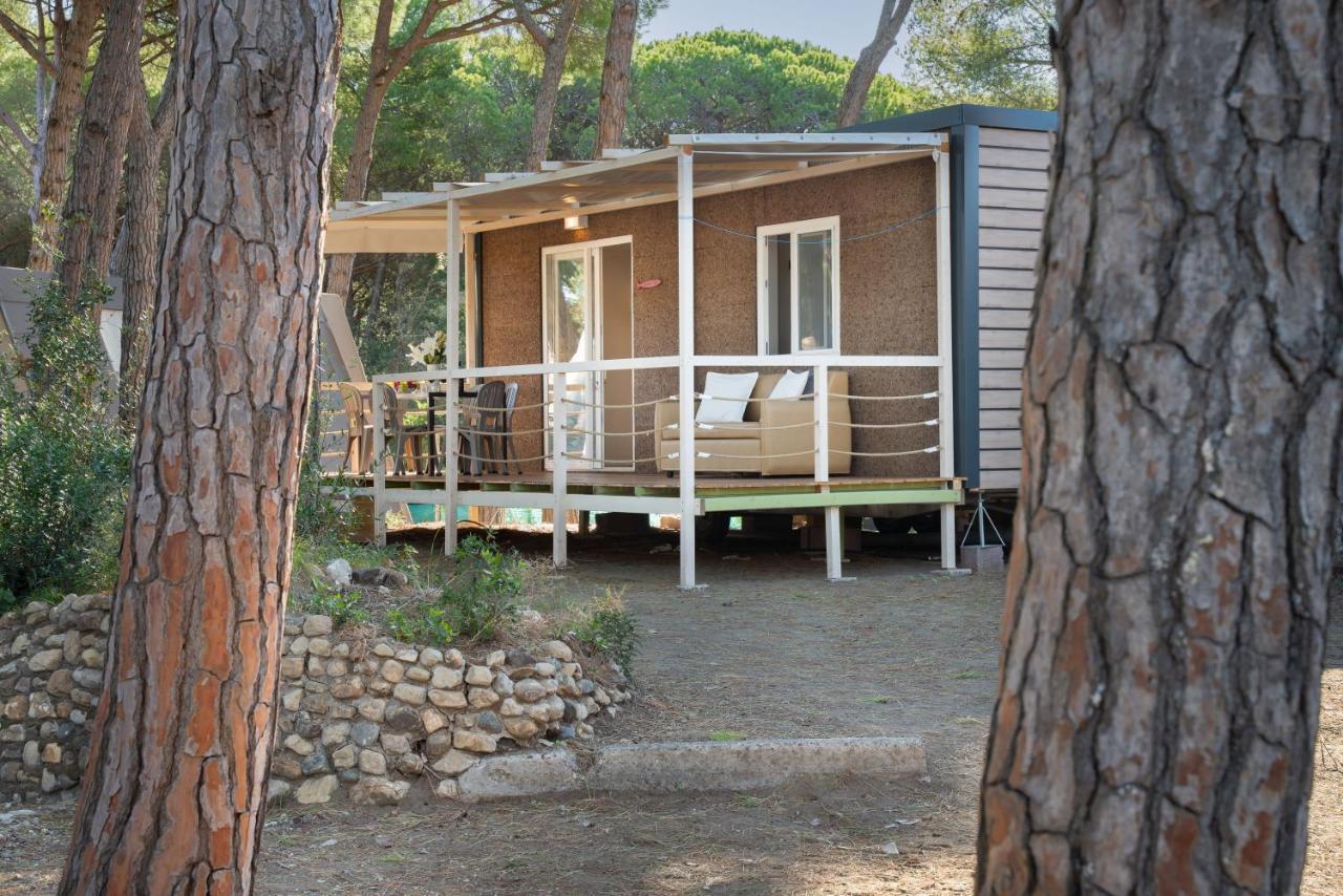 Camping Il Capannino Glamping Village マリーナ・ディ・ビッボーナ エクステリア 写真