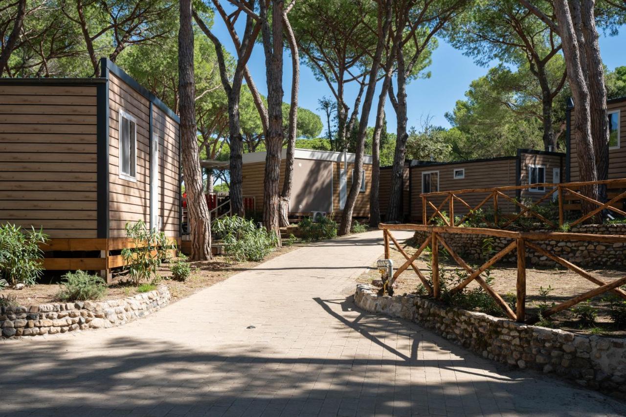 Camping Il Capannino Glamping Village マリーナ・ディ・ビッボーナ エクステリア 写真