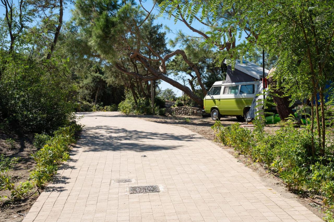 Camping Il Capannino Glamping Village マリーナ・ディ・ビッボーナ エクステリア 写真